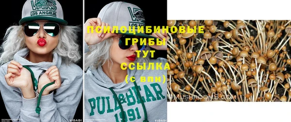 бутират Алексин