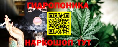дмт Бийск