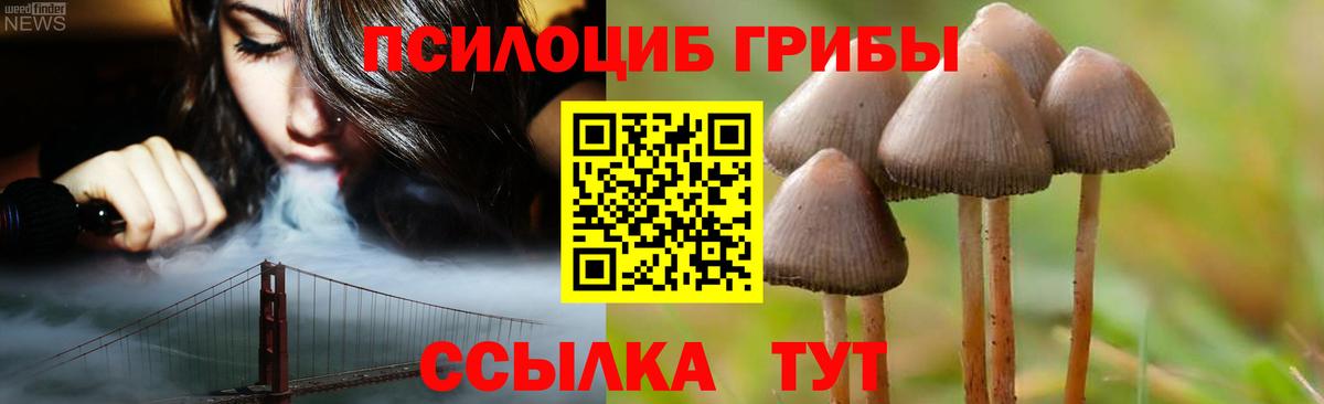 Псилоцибиновые грибы MAGIC MUSHROOMS  Вход с VPN  Егорьевск 
